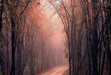 开云体育在线-红军折戟！利物浦三线崩盘，英超争冠格局一夜剧变