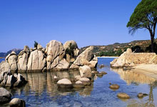 开云体育在线-意大利网球队强势击退西班牙巨人，梅德韦杰夫统领赛场风云