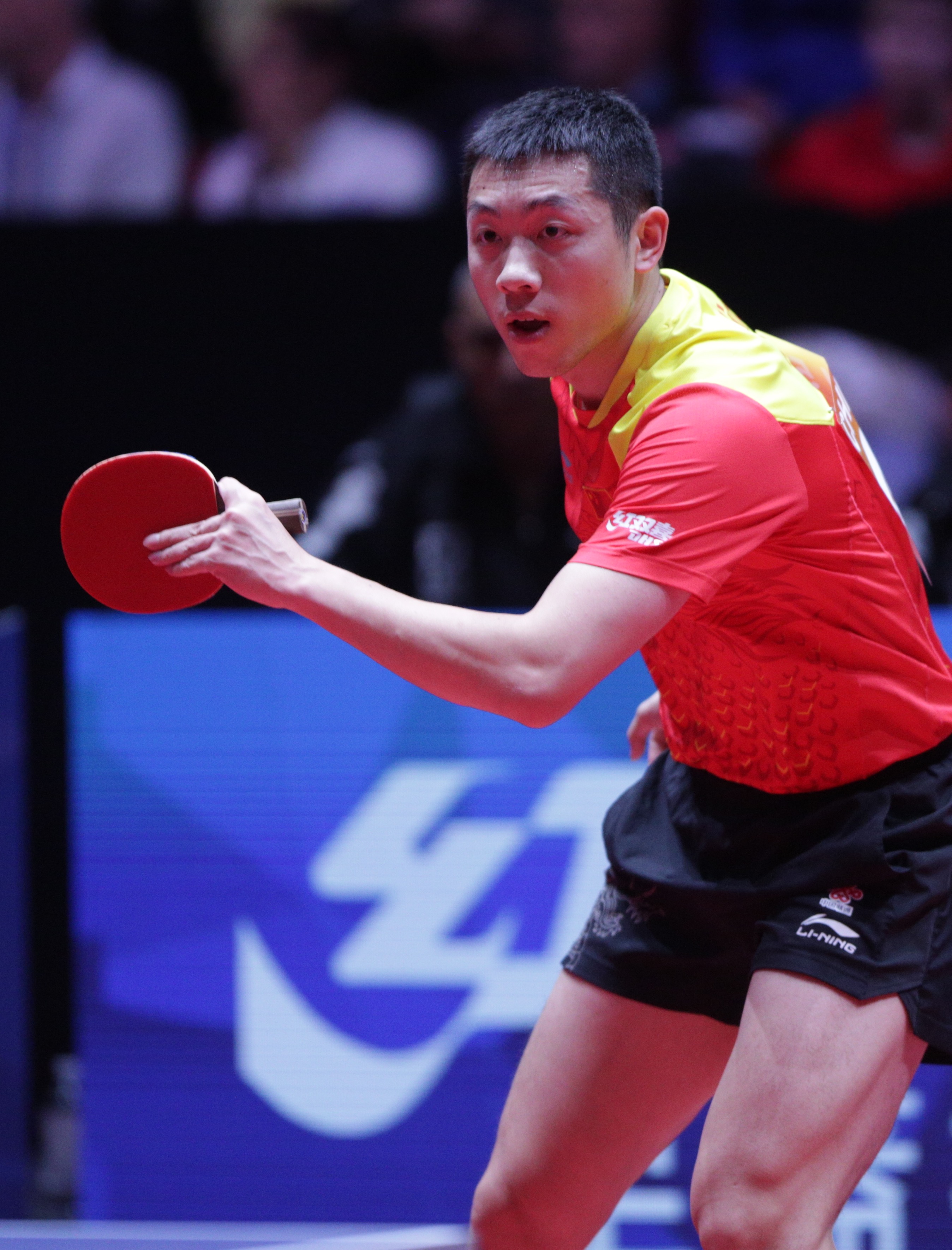 日本乒乓球队绝地反击法国乒乓球队,许昕惊艳世界的简单介绍 日本乒乓球队绝地反击法国乒乓球队,许昕惊艳世界的简单介绍