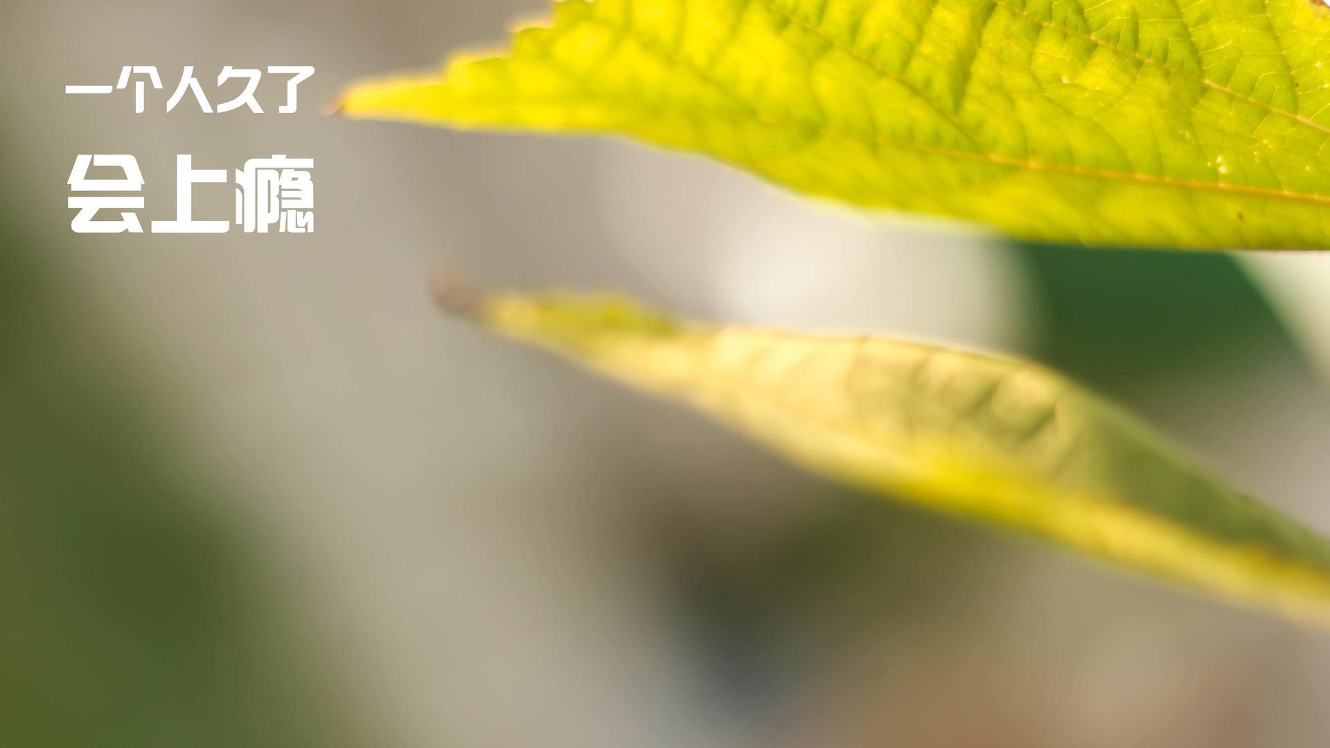 开云平台-西决生死战焦点战，太阳险胜马刺，经典永存