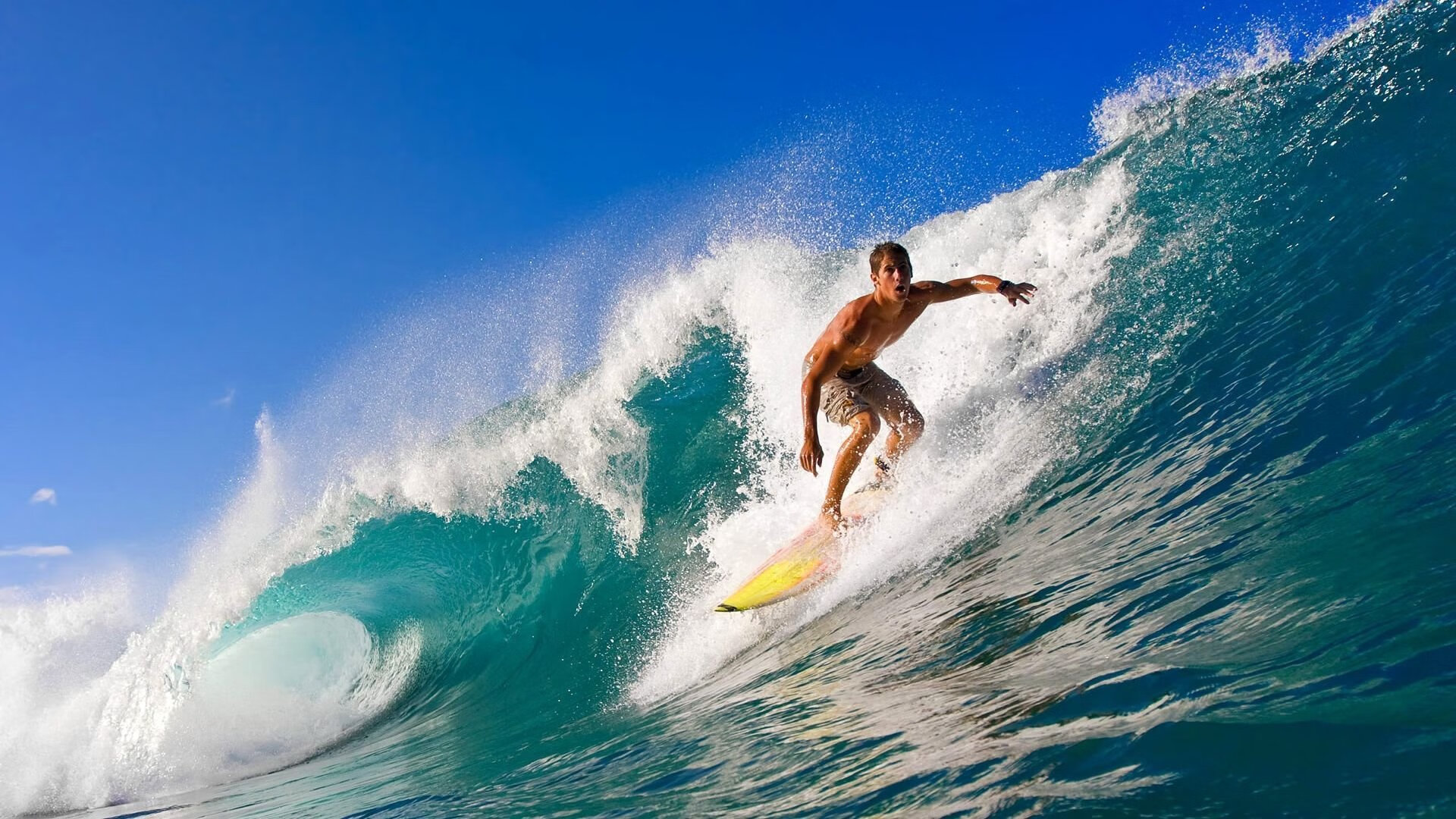 当爵士遇见公牛,小贾伦·杰克逊的生涯之夜与篮球的永恒对话